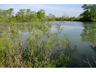 Property photo 63 - LAND AUCTION - 215+/- ACRES OFFERED IN 6 TRACTS IN VAN WERT COUNTY, OHIO